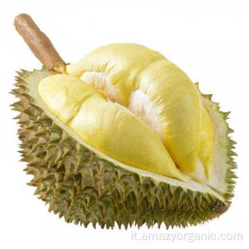 Polvere di succo di durian naturale al 100%